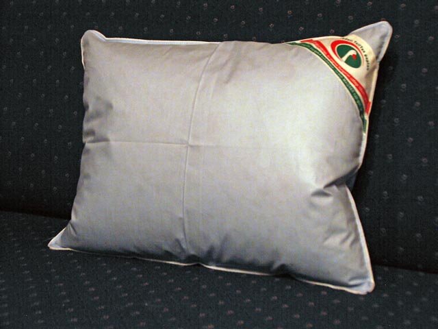 Goose down filled pillows