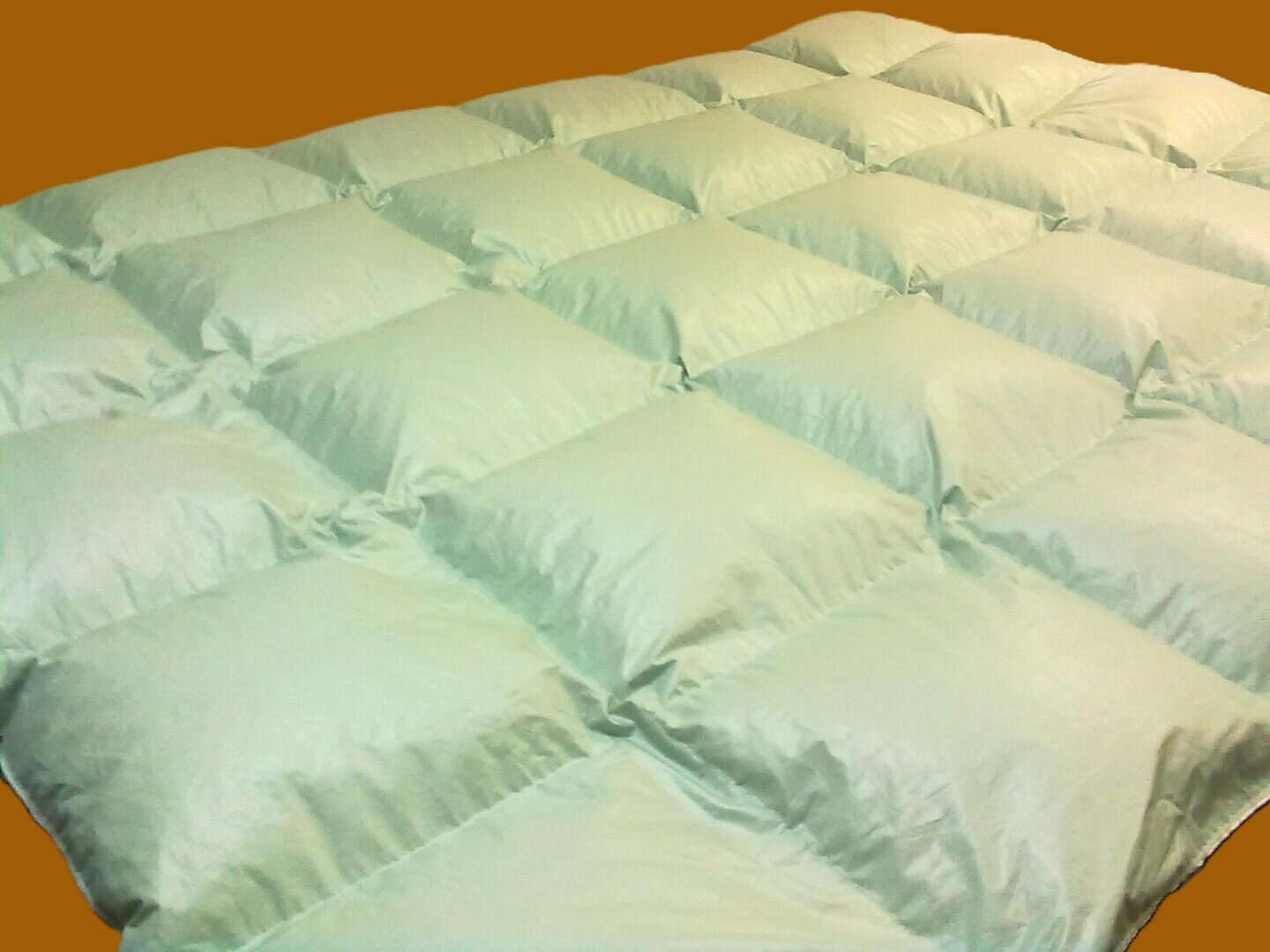 160x200 cm Daunendecke